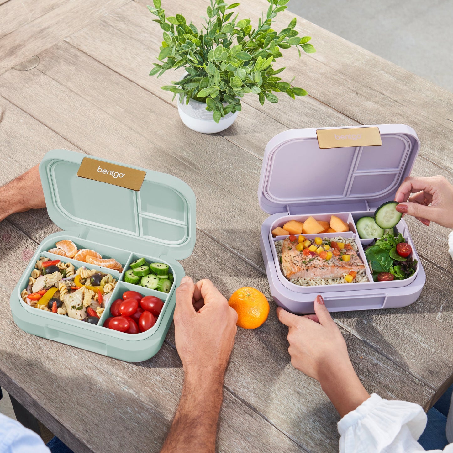 bentgo-modern-lunch-box-2-pack-i2 COSTCOBMCPRODUCTIMAGE_2.jpg